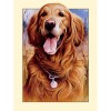 Tableau De Portrait De Chien Café - 5D Kit Broderie Diamants/Diamond Painting